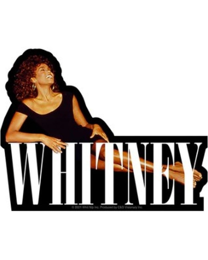 Whitney Houston Whitney Sticker $28.97 Accessories